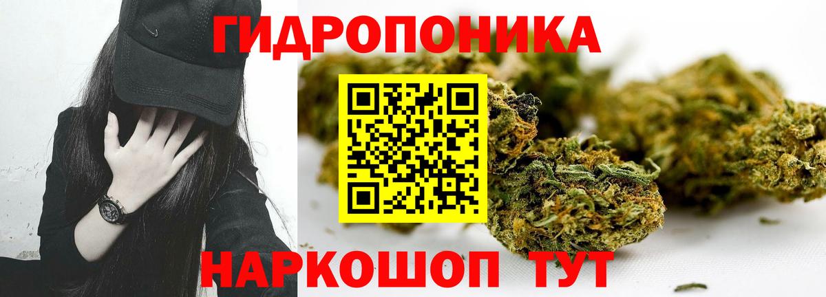 Каннабис план Армавир